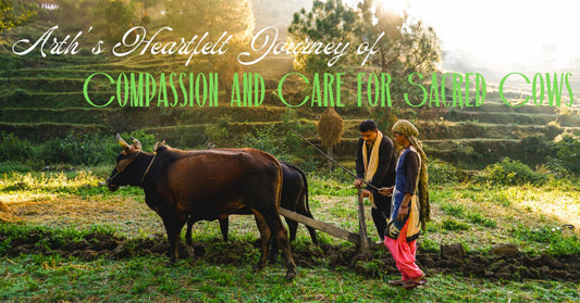Arth's Heartfelt Journey of Compassion and Care for Sacred Cows